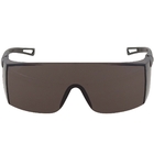 Óculos De Segurança Proteção Fumê Evolution Pro | Valeplast |